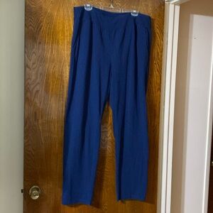 D&co. ACTIVE / Navy pants / 1X